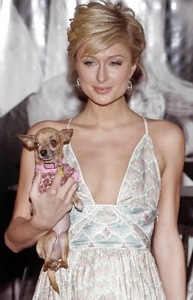 Paris Hilton ...