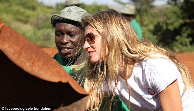 Gisele outshined by a cute baby elephant!