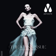 The Icon Issue of Antidote