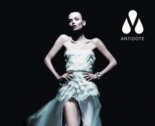 The Icon Issue of Antidote