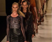 Super-thin Rosie Huntington Whiteley shows the “Animale” side of her