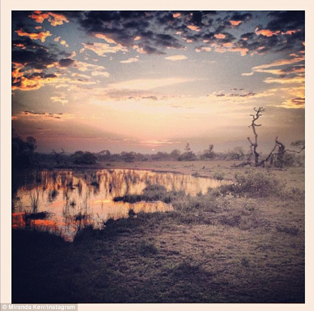 Miranda Kerr gets close to the animals on trip of a lifetime