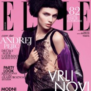 Transgender model Andrej Pejic lands on Elle cover