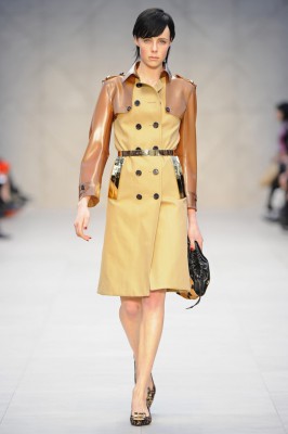 burberry-prorsum-001