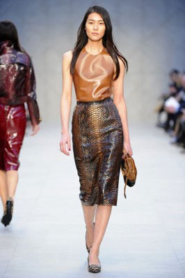 burberry-prorsum-010