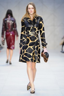 burberry-prorsum-011