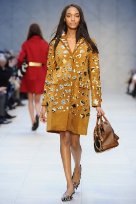 burberry-prorsum-025