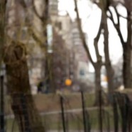 Nina Agdal Stars In Music Video With Shirtless And Hunky Male Models