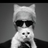 Karl Lagerfeld’s famous cat is the highest paid cat in fashion