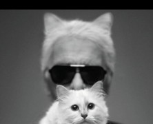 Karl Lagerfeld’s famous cat is the highest paid cat in fashion