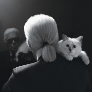 Karl Lagerfeld and His Famous Cat Star In New Clothing Collection