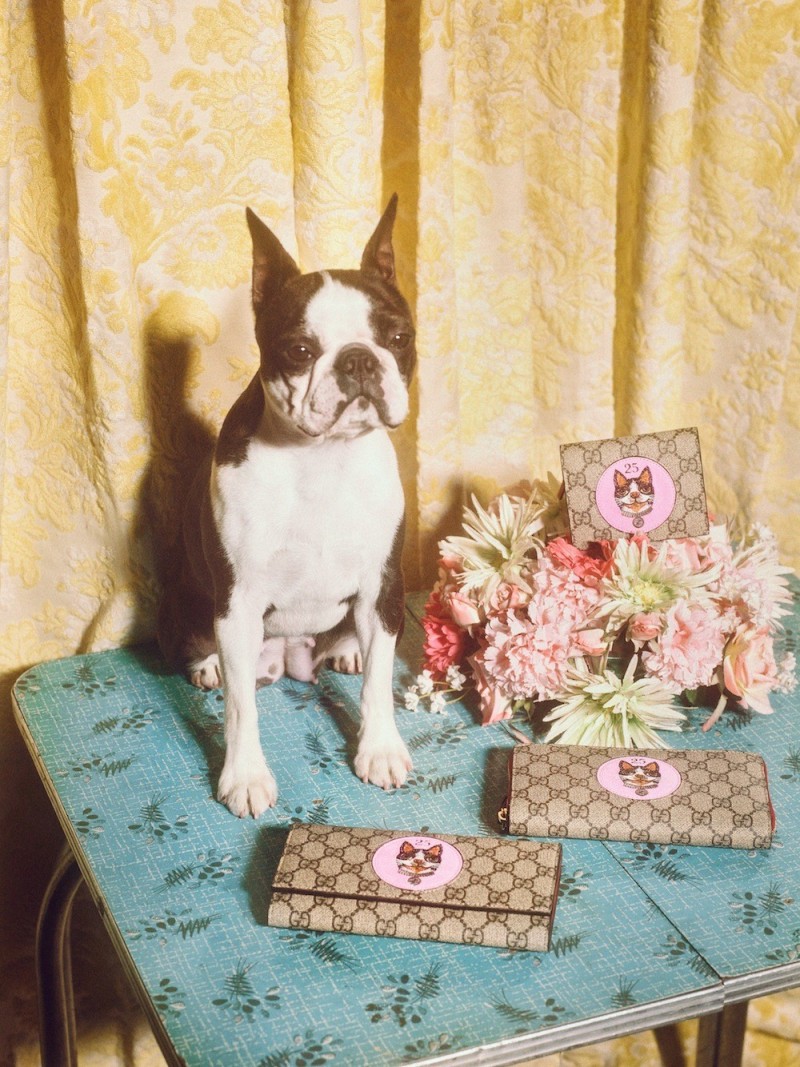guccis-year-of-the-dog-collectie-6-281027
