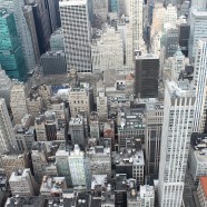 Prada to show its new cruise collection in New York