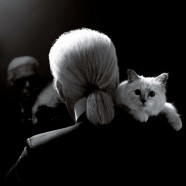 Choupette launches clothing line