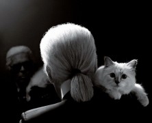 Choupette launches clothing line