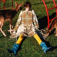 Gucci will donate to Animals featured in its Campaigns