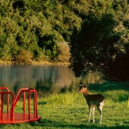 Gucci relaunches its Inclusive Equilibrium Program