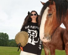 H&M launches Animal-friendly Fashion collection