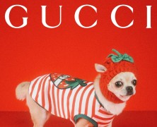 Gucci launches its debut Pet collection
