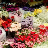 How Flowers Elevate Runways to Steal the Fashion Spotlight