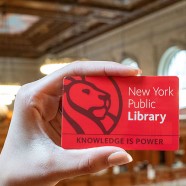 UNIQLO Partners with The New York Public Library to Celebrate Community, Creativity, and Access